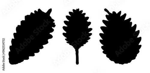 Pinecone silhouette set with simple black line illustration featuring pinecone, nature, tree with evergreen and conifer