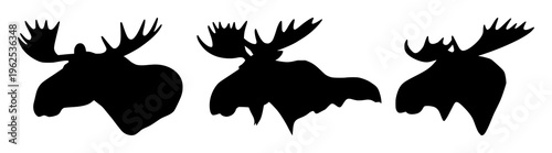 Moose head silhouette set with bold black outline minimalistic design featuring wildlife, ungulate, nature illustration with forestry and conservation