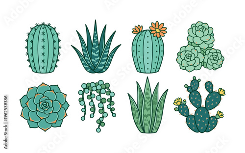 A collection of cute cartoon cacti and succulent plant vector icons. This charming set is perfect for botanical design, patterns, stickers, and modern home decor graphics.