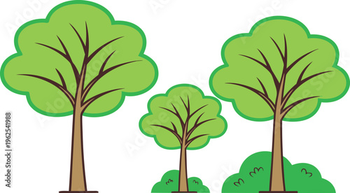 Cartoon of three green trees with brown trunks and green bushes on white background