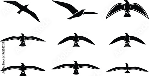 Black silhouettes of seagulls in various flying positions birds white background