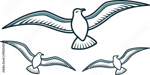 Three white seagulls flying with blue accents on white background birds flying birds