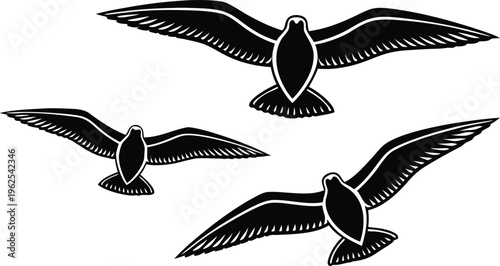 Tableau sur toile Three black seagulls flying on white background birds flying birds black and whi