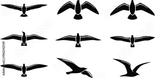 Black seagull silhouettes flying seagulls birds white background