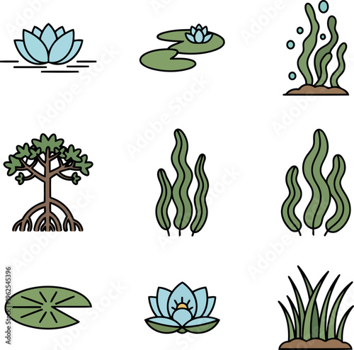 Aquatic plants and seaweed