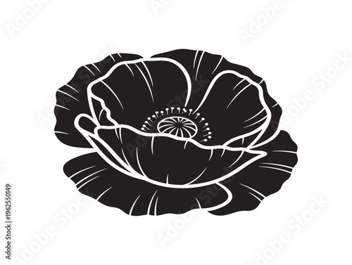 Stunning poppy flower silhouette vector for eye catching botanical illustrations