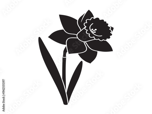 Stunning daffodil silhouette vector for beautiful seasonal garden and Easter designs