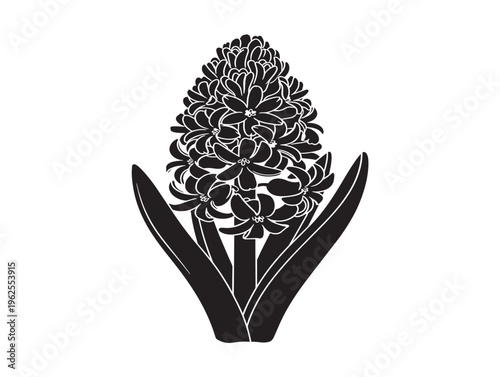 Lovely hyacinth silhouette for spring garden and pastel floral designs