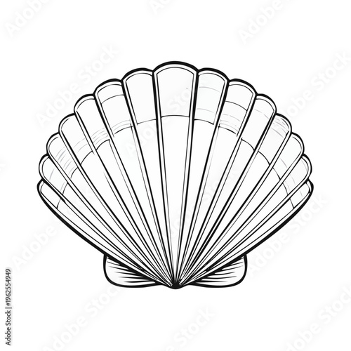 Elegant Outline of a Scallop Shell with Distinct Ribs and Fan Shape