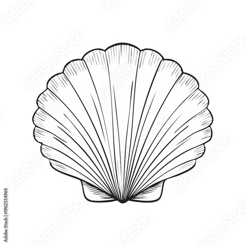 Detailed outline drawing of a single scallop seashell, an iconic symbol of the ocean and coastal life.