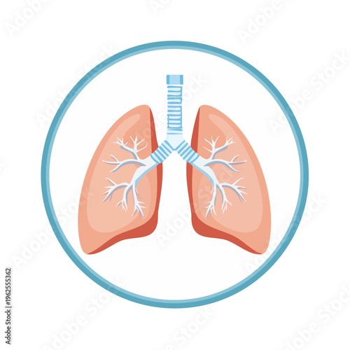 Medical illustration of human lungs and trachea inside a circle
