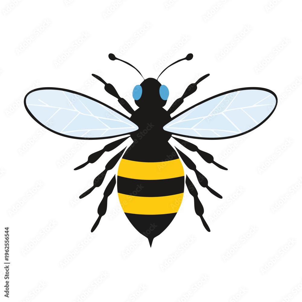 Fototapeta premium Cartoon Honey Bee with Black and Yellow Stripes Wings and Blue Eyes