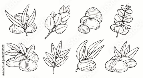 Collection of hand-drawn line art illustrations featuring smooth zen stones and various botanical leaves, ideal for spa, nature, and wellness designs.