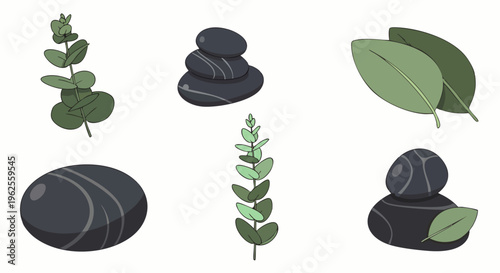 Collection of Spa and Wellness Elements: Green Eucalyptus Leaves and Zen Stones for Relaxation, Aromatherapy, and Natural Therapy Concepts on White Background