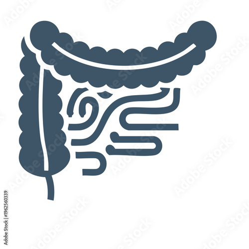Stylized icon of human intestines and colon internal organs with clean lines and simplified forms