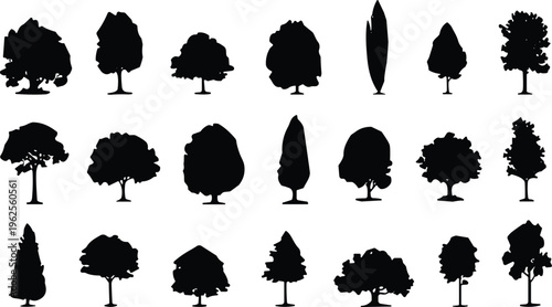 Silhouettes of diverse tree shapes, rounded, conical, columnar, spreading crowns, botanical variety, landscape design vector illustration artwork