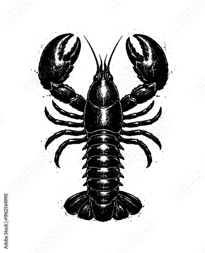 A detailed lobster shown from a top-down view, its segmented body stretching vertically across the frame with large claws extended outward, creating a striking