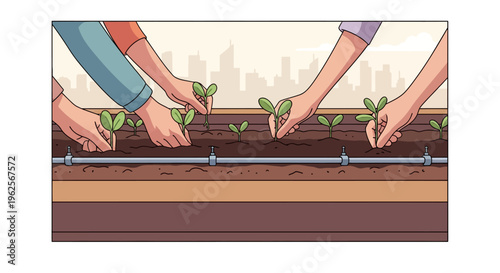 Urban gardening: hands planting seedlings in raised bed with drip irrigation