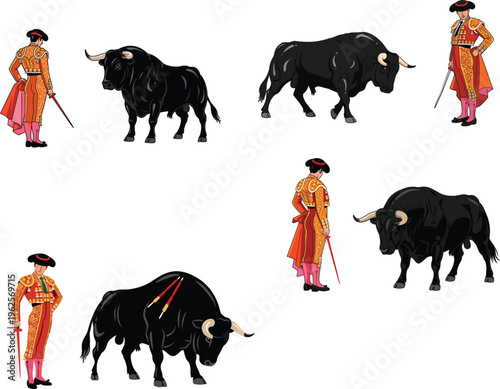Spanish bullfighter matador character set in traditional costume standing with black bull for bullfighting show
