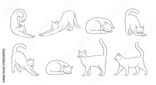 Minimalist Cat Line Art Collection: Set of Thin Line Sketch Vector Drawings