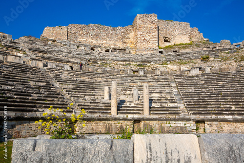 Ruins of ancient city Milet...