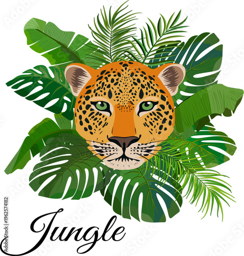 Leopard in the green thickets of the jungle.Color vector illustration of a leopard in tropical vegetation on a transparent background with text.
