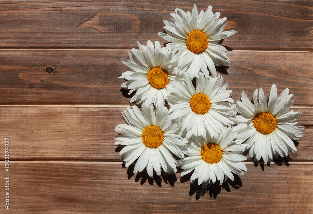 Obraz premium Six white buds daisies in shape of heart on old wooden background