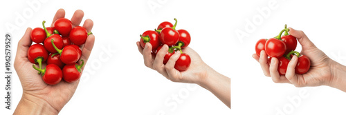 Photos Hand holding bunch of fresh red cherry peppers isolated on white background for