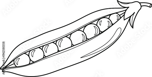 Color page of a pea pod with peas isolated on transparent background