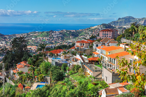 Принти на полотні Funchal in Madeira shows colorful hillside homes surrounded by lush greenery overlooking the deep blue Atlantic Ocean