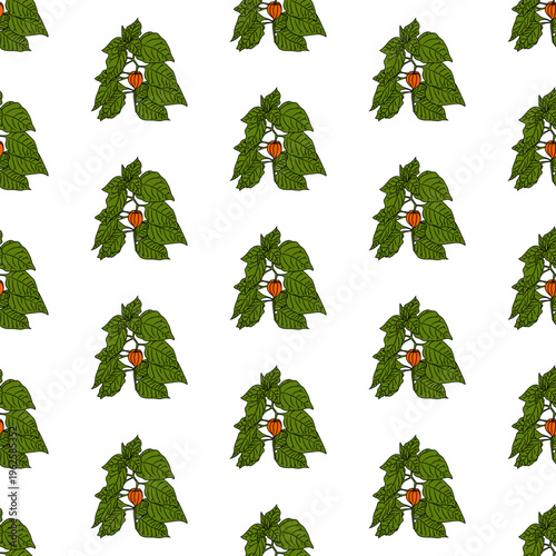 Physalis branch with lush foliage. Seamless pattern.