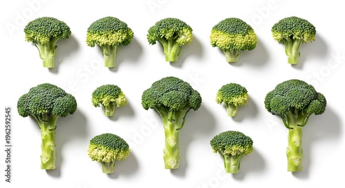 Fresh broccoli florets displayed on white background for culinary and health themes