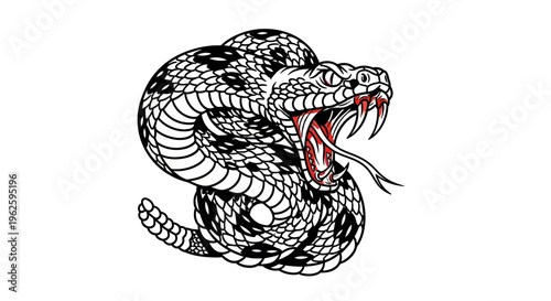 Aggressive Rattlesnake striking with fangs showing, isolated on white background.