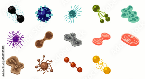 Collection of diverse microscopic organisms, bacteria, viruses, and cells. Scientific illustrations for biology, medicine, and research concepts.