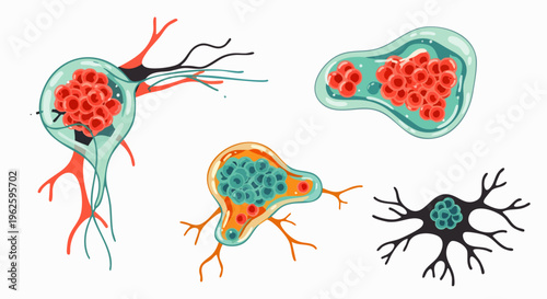 Illustration of different types of neurons and their cellular structures, depicting nerve cells and neural pathways.