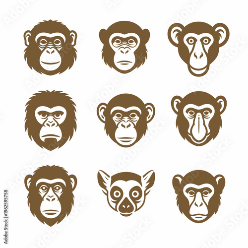 Monkey faces with different expressions.