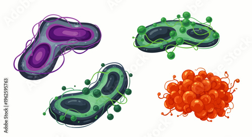 Illustration of colorful bacteria and viruses with different shapes and structures on a white background, science concept