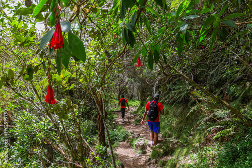 Slika na platnu Scenic cloudy landscape of La Nouvelle Trekking, Reunion Island, France