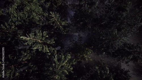 Top view of a dense pine forest at night during a storm with heavy rain and strong wind. Trees are swaying dynamically while rain streaks pass through the scene, creating a dramatic and intense atmosp