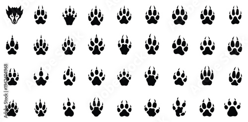 Collection of various animal paw prints in black on white background