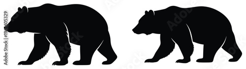 Silhouette of two winged horses or pegasus in profile