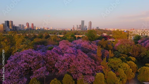 Chapultepec Park, Mexico City panoramic view at sunset.