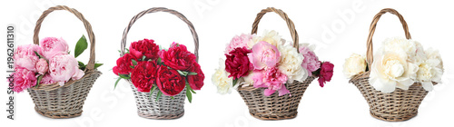 Wicker baskets with fragrant peony flowers on white background, set