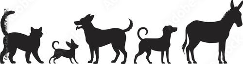 silhouette cat small dog medium dog curled tail donkey comparison