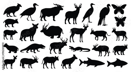 Photography Collection of black silhouettes of various wild animals