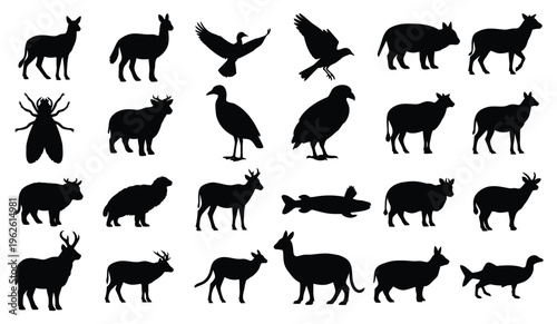 Collection of animal silhouettes featuring various species