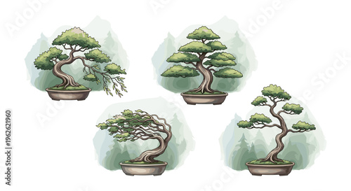 Collection of Four Bonsai Trees