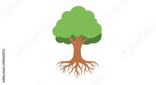 Stylized deciduous tree displaying a complex root system reaching deep soil