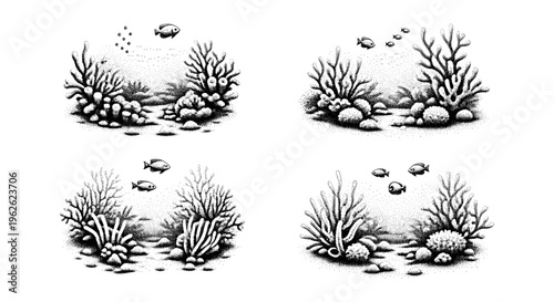 Underwater Coral Reef Scenes