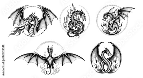 Dragon Illustrations Collection